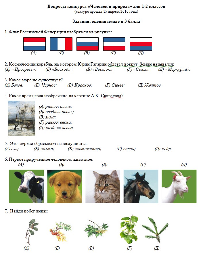 Задания и ответы на конкурс чип Задания и ответы на конкурс чип